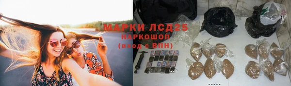 СК Нея